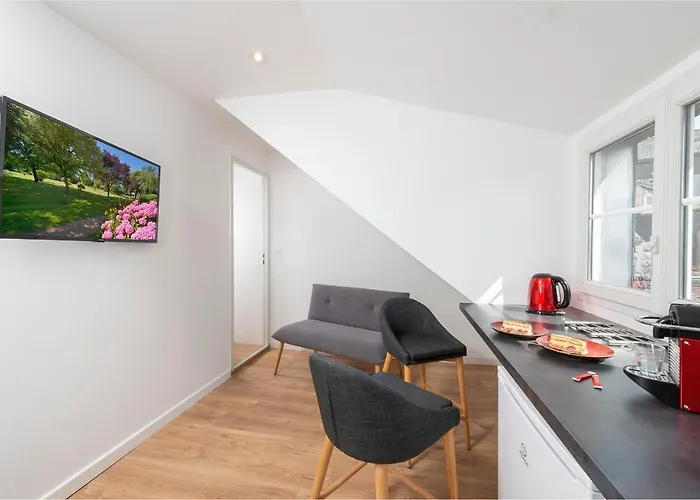Appartements Lumineux Et Charmants En Coeur De Ville